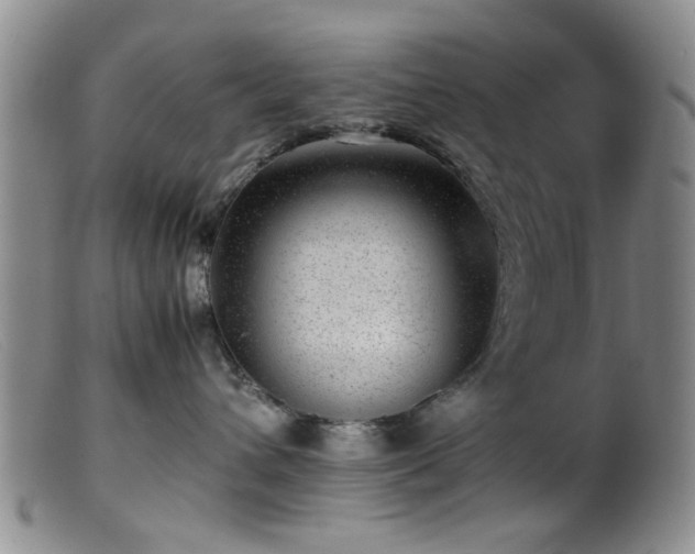 X0000099460432200805161051