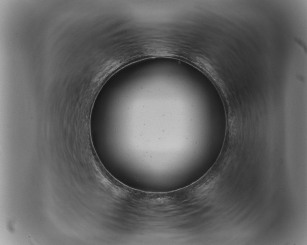 X0000099460433200805161051