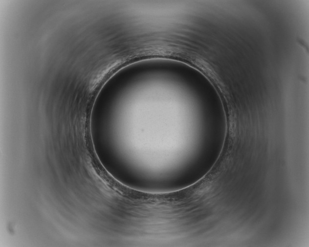 X0000099460434200805161051