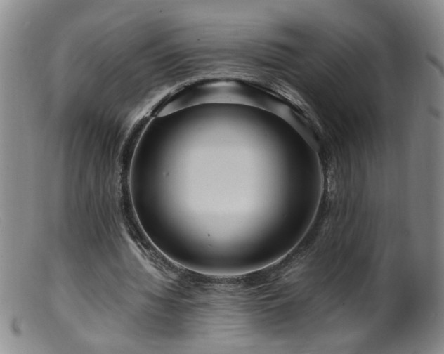 X0000099460436200805161051