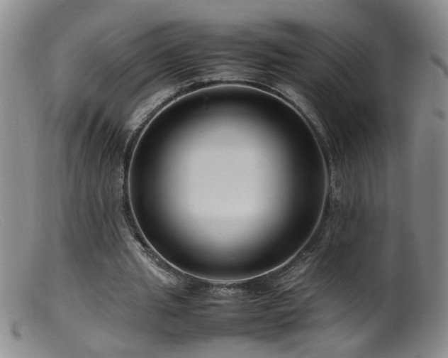 X0000099460437200805161051