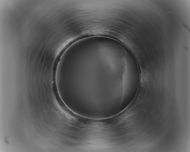 X0000099460438200805161051