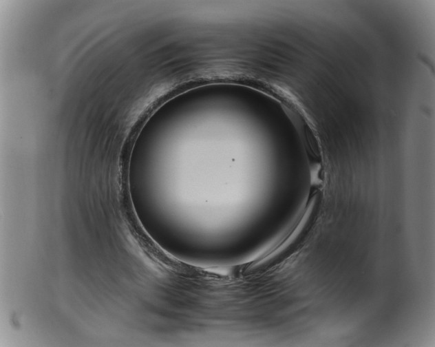 X0000099460439200805161051