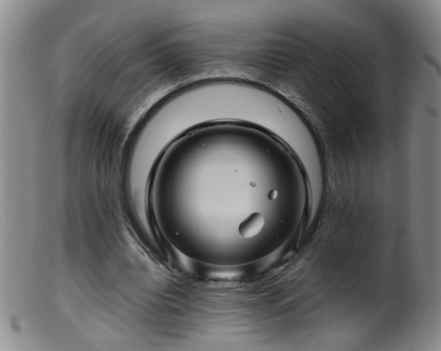 X0000099460440200805161051