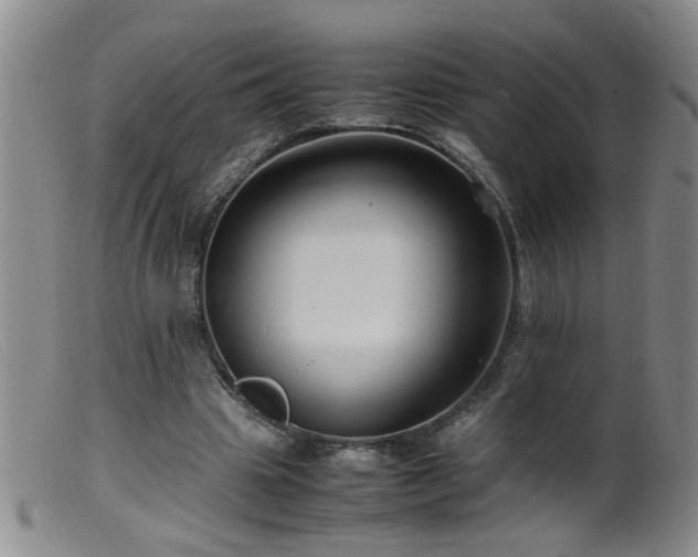 X0000099460441200805161051