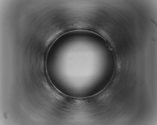 X0000099460442200805161051