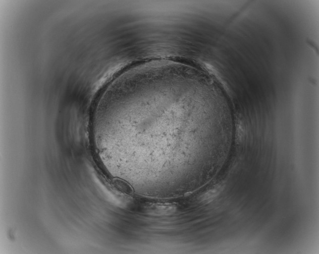 X0000099460443200805161051