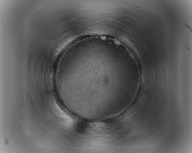 X0000099460444200805161051