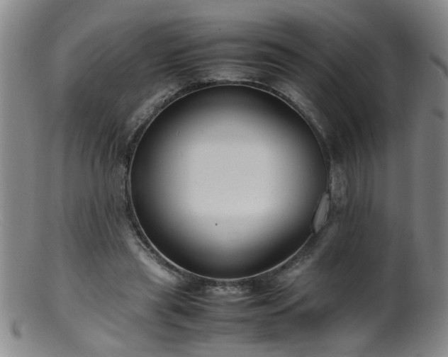 X0000099460445200805161051