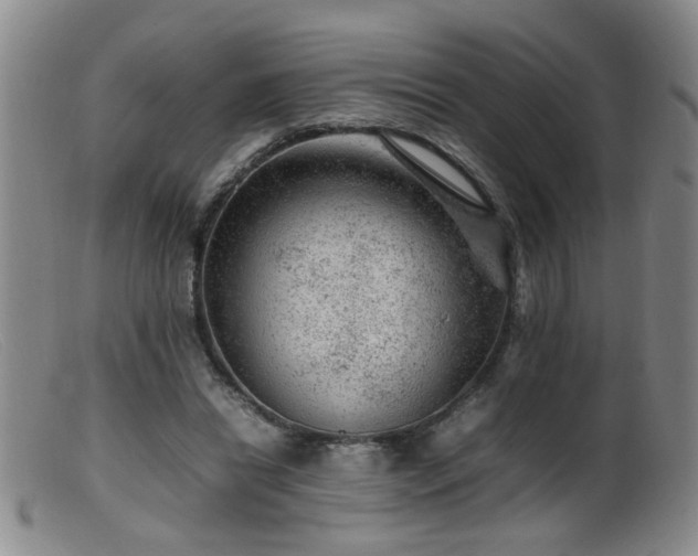 X0000099460446200805161051