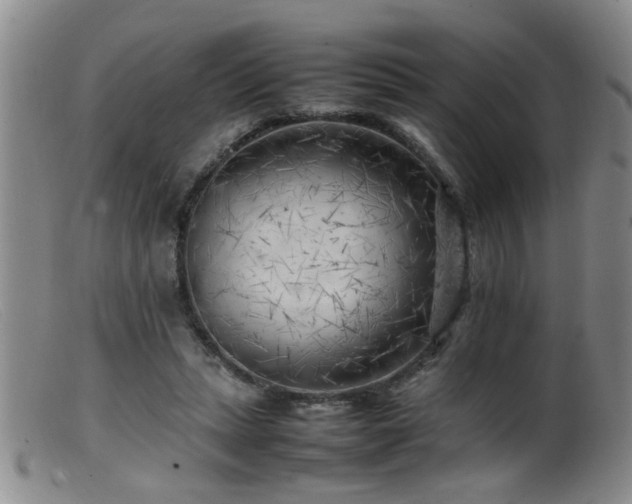 X0000099460447200805161051