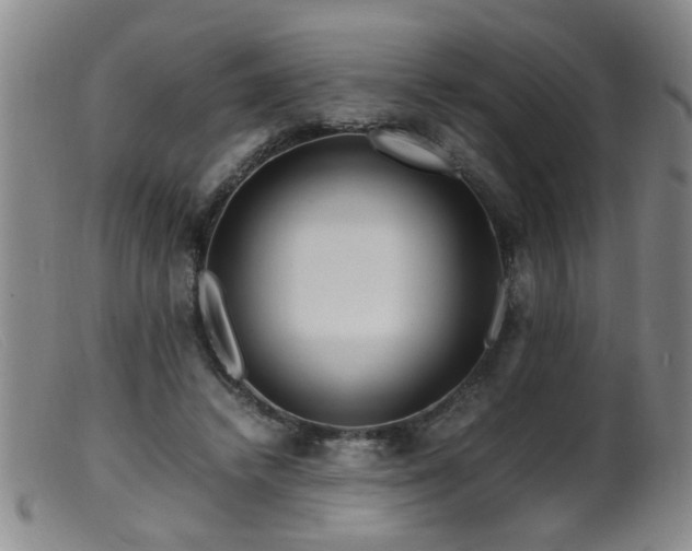 X0000099460448200805161051