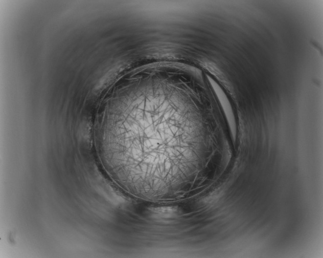 X0000099460449200805161051