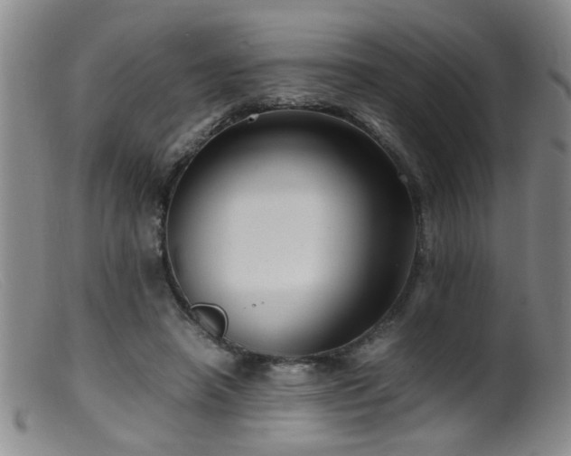 X0000099460450200805161051