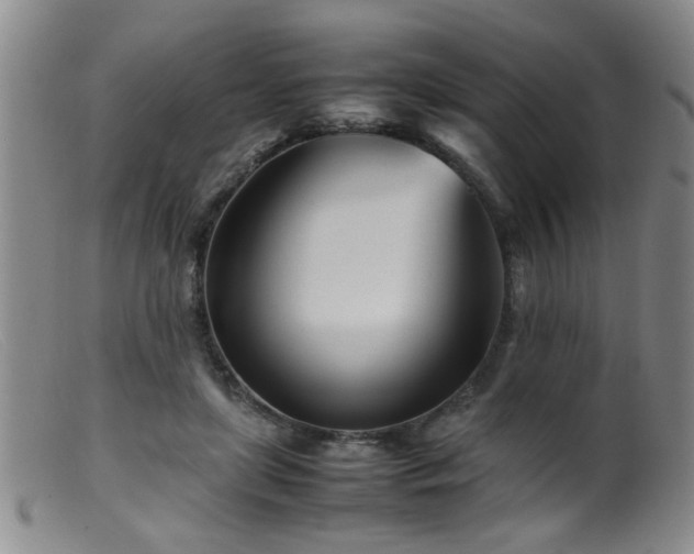 X0000099460451200805161051