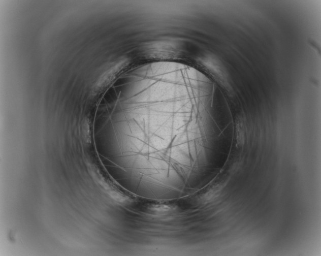 X0000099460453200805161051