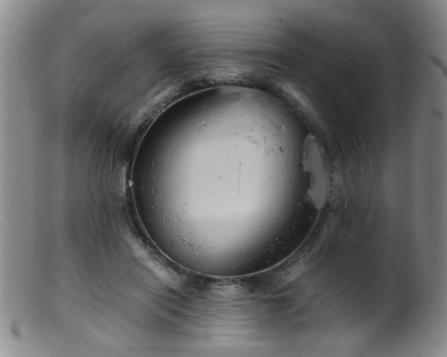 X0000099460454200805161051