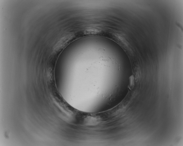 X0000099460455200805161051