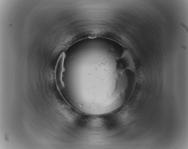 X0000099460456200805161051