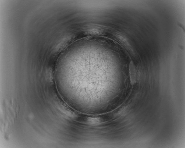 X0000099460457200805161051