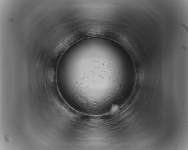 X0000099460458200805161051