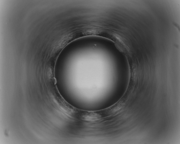 X0000099460459200805161051