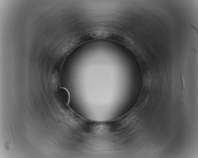 X0000099460460200805161051