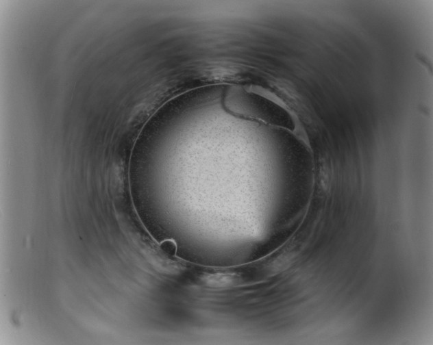 X0000099460461200805161051