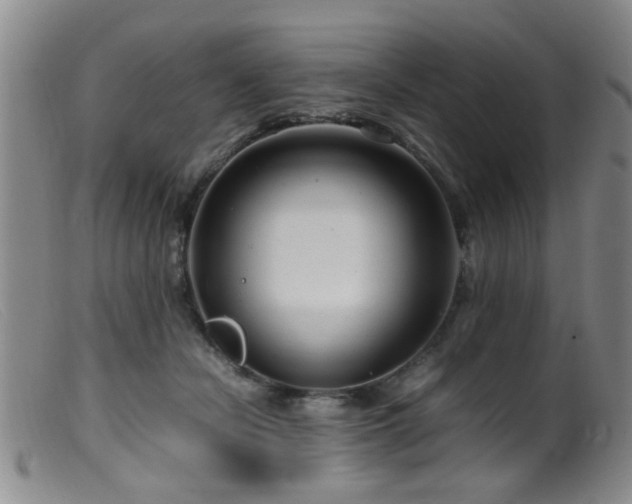 X0000099460462200805161051