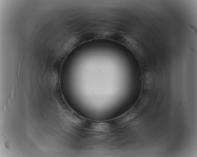 X0000099460463200805161051