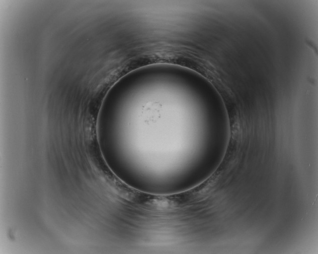 X0000099460464200805161051