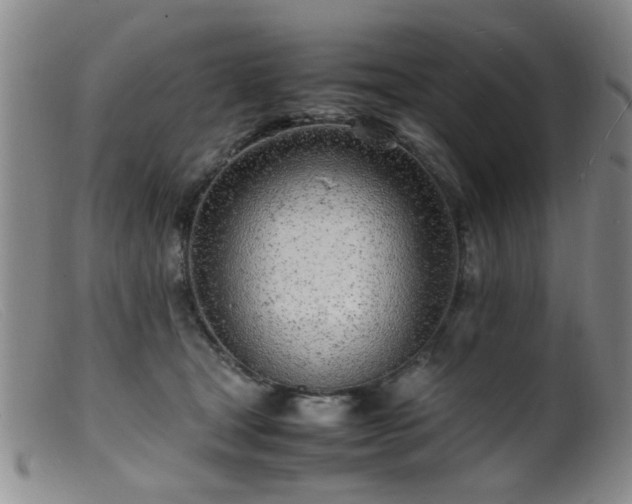 X0000099460465200805161051