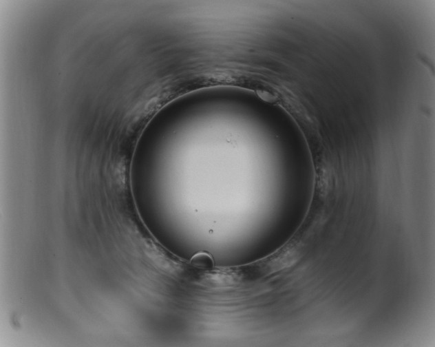 X0000099460466200805161051