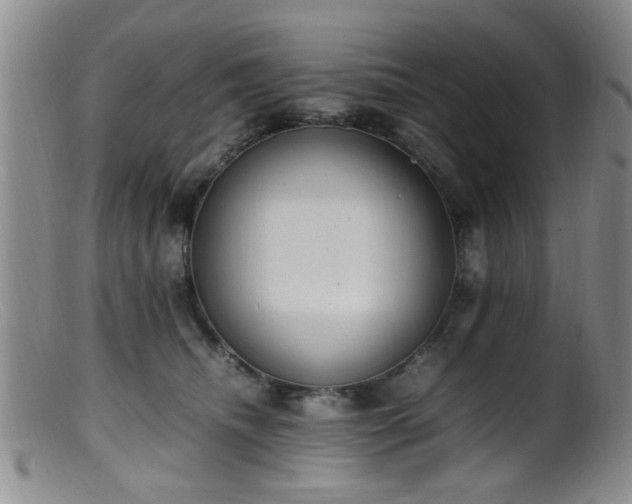 X0000099460468200805161051