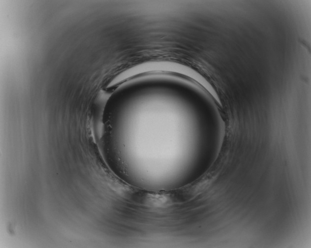 X0000099460469200805161051