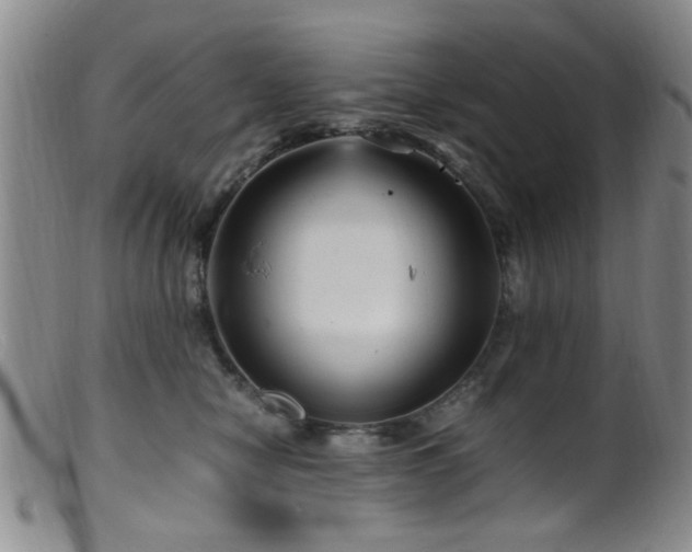 X0000099460470200805161051