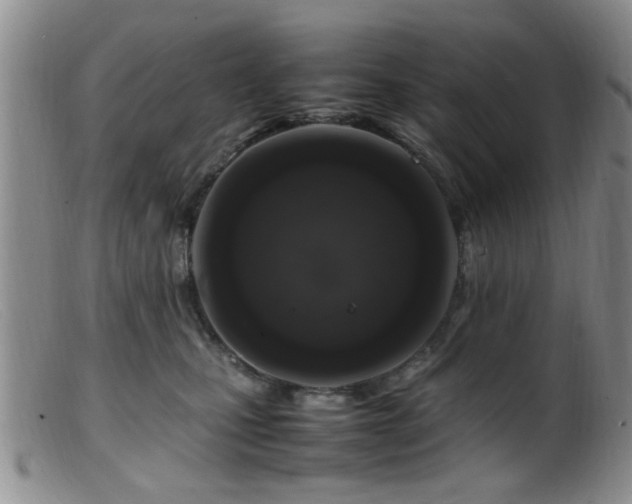 X0000099460471200805161051