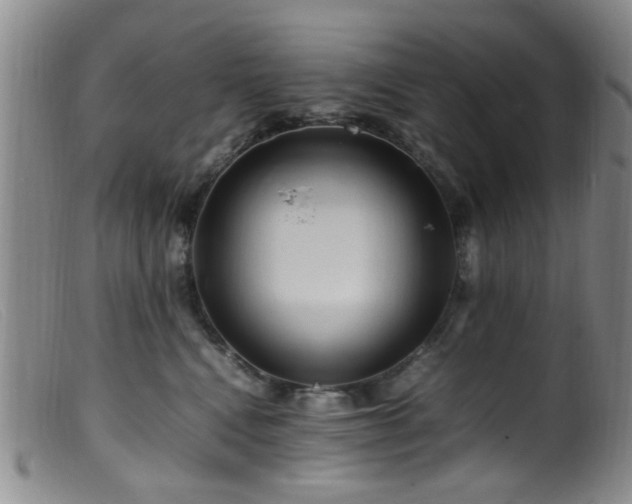 X0000099460472200805161051