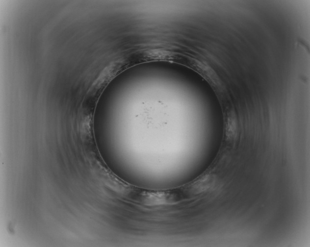 X0000099460473200805161051