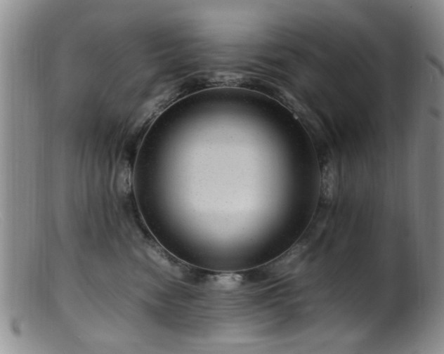 X0000099460474200805161051