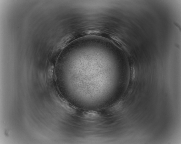 X0000099460475200805161051