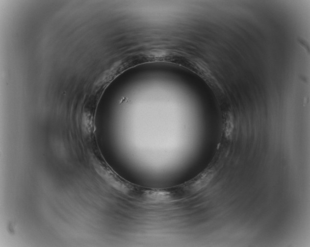 X0000099460476200805161051