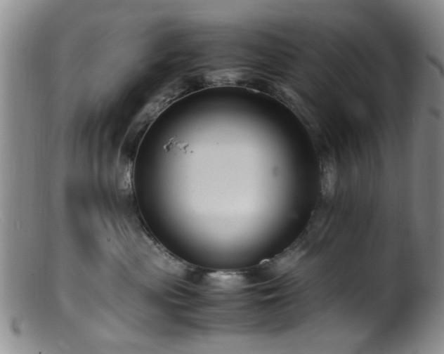 X0000099460477200805161051