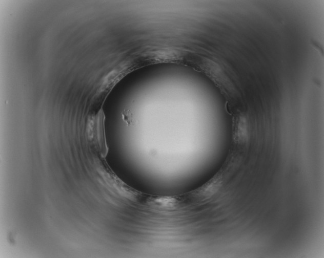 X0000099460478200805161051