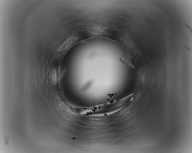 X0000099460479200805161051