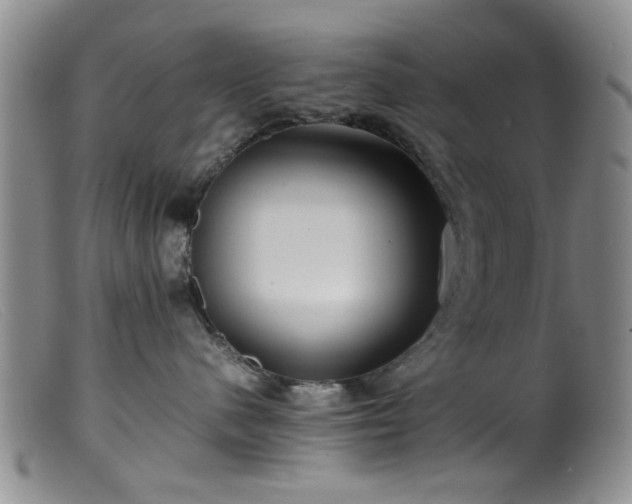 X0000099460480200805161051