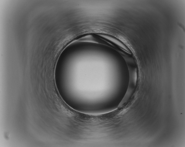 X0000099460481200805161051