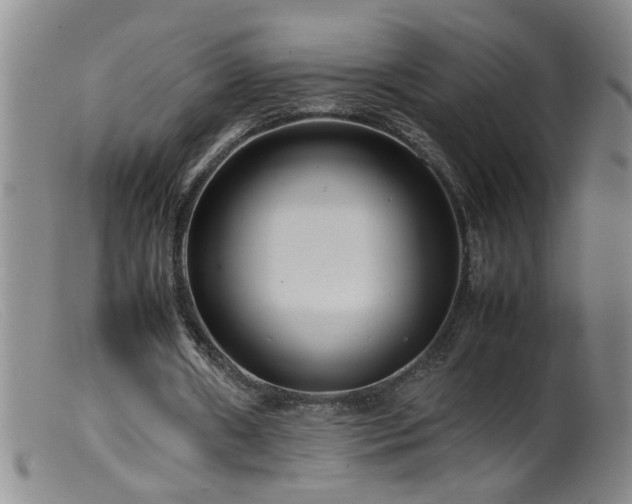 X0000099460482200805161051