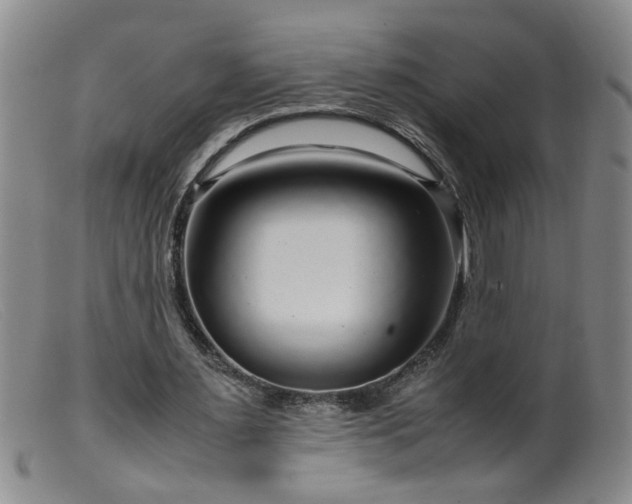 X0000099460483200805161051