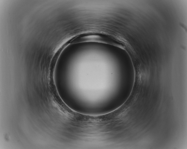 X0000099460484200805161051